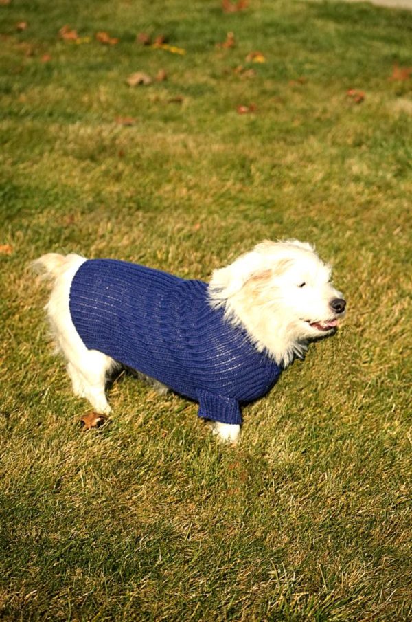 Pure Baby Alpaca Dog Sweater