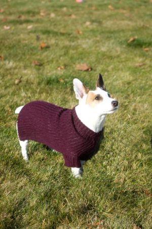 Pure Baby Alpaca Dog Sweater