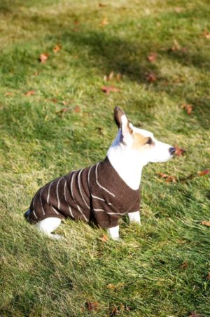 All Natural Alpaca Raglan Dog Sweater