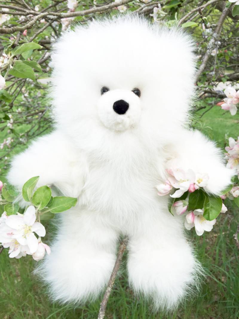alpaca teddy bears for sale