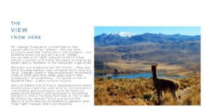 Sustainable and Eco-friendly Alpaca Clothing, Accessories and Homegoods. All natural alpaca products. Environmentally friendly clothing, accessories and home goods. Ethically sourced alpaca clothing and home goods.