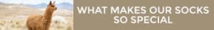 Link To Learn More About What Makes Mt. Caesar Alpacas Socks So Special