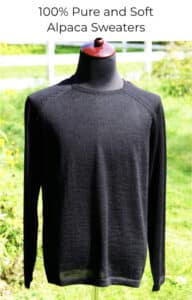Shop men's alpaca sweaters.