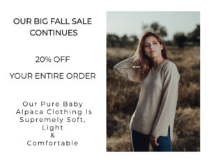20% Off Your Entire Order Sale