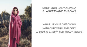 Shop alpaca blankets and sofa throws
