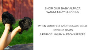 Shop alpaca slippers. Full foot alpaca slippers and slide on alpaca slippers.