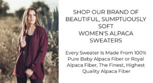 Women's 100% Pure Baby Alpaca Sweaters