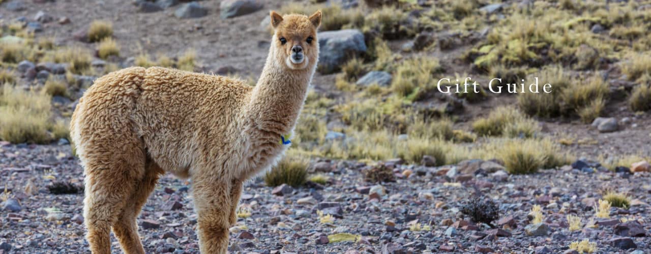 Mt. Caesar Alpacas Pure Alpaca Knitwear Gift Guide