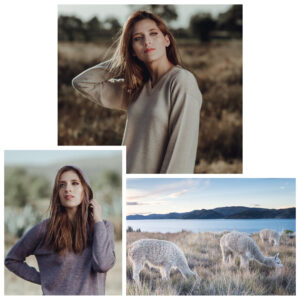Shop Women's Alpaca Sweaters