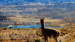 Mt. Caesar Alpacas Sustainable Clothing For Women and Men