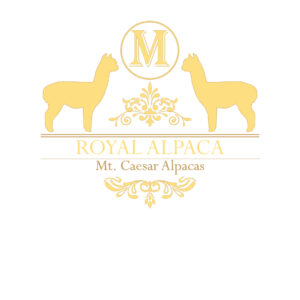 Mt. Caesar Alpacas Royal Alpaca Clothing And Accessories