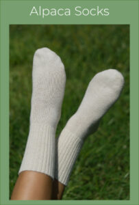 100% Pure Alpaca socks In Cream