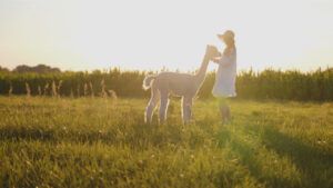 Our expertise of raising alpacas and working with their precious fiber goes into every product we make
