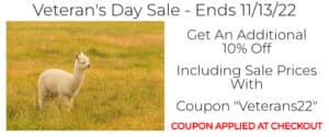 Veteran's Day Sale