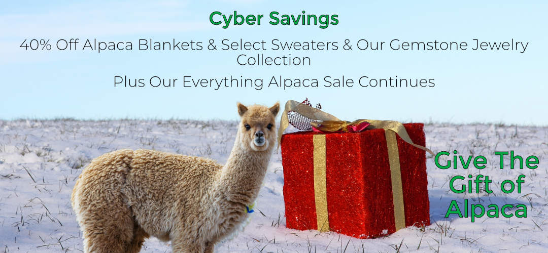 Mt. Caesar Alpacas Cyber Savings.  40% Off Alpaca Blankets and Select Sweaters.  40% Off Jewelry.  Plus Our Everything Alpaca Sale Continues