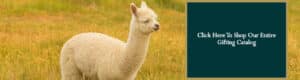 Mt. Caesar Alpacas Gift Guide