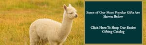 Mt. Caesar Alpacas Gift Guide