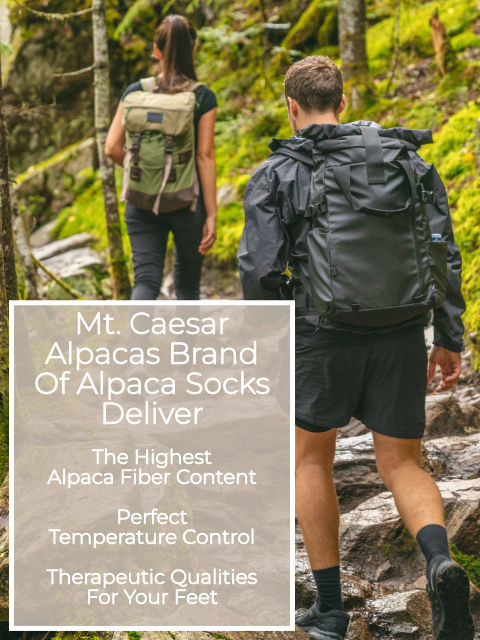 Mt. Caesar Alpacas Socks Are Made With The Highest Alpaca Content To Deliver All The Benefits Of Alpaca