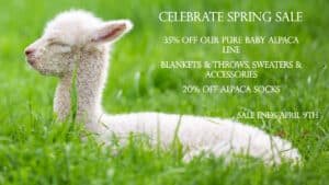 Mt. Caesar Alpacas Spring Sale. Up to 35% Off Our Entire Line Of Pure Baby Alpaca Sweaters, Blankets And Assessories.