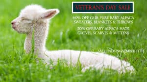 Veteran's Day Sale 40% Off Sweaters