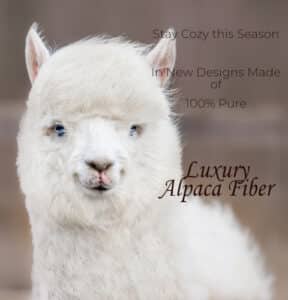 Mt. Caesar Alpacas New Season of Designs in Luxury Alpaca Fiber