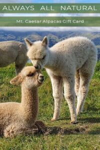 Mt. Caesar Alpacas Gift Card
