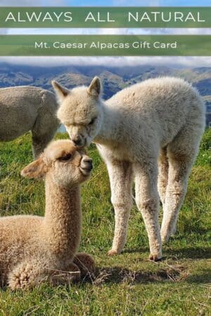 Mt. Caesar Alpacas Gift Card